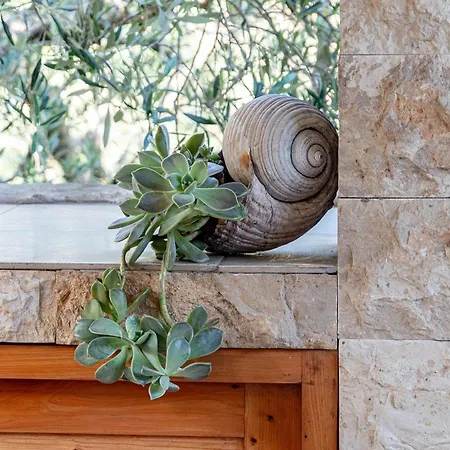 Holiday home House Jasmina Vela Luka