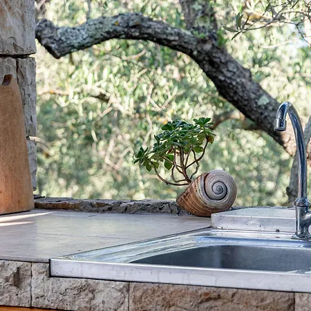 別荘 House Jasmina