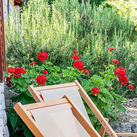 House Jasmina ヴェラ・ルカ