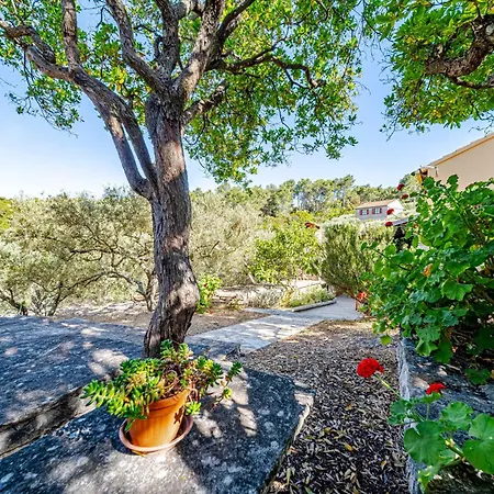 House Jasmina Vakantiehuis Vela Luka